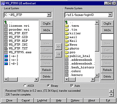 ftp_02.gif (43915 bytes)